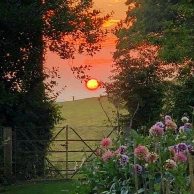 半岛·综合体育app下载