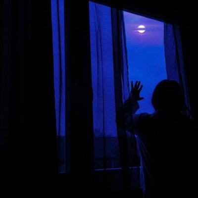 单机的打鱼游戏app下载截图