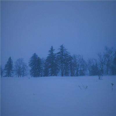 金年会电子游戏app