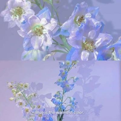 娱乐宝官网手机app下载截图