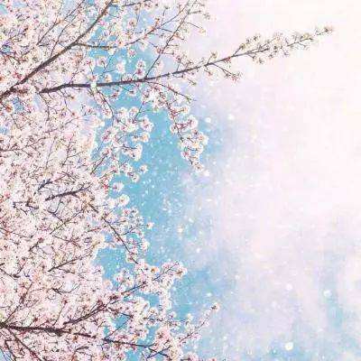 单机的打鱼游戏app下载截图