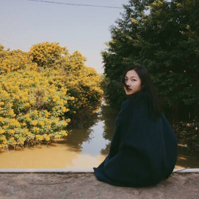 bob手机网页版登录入口