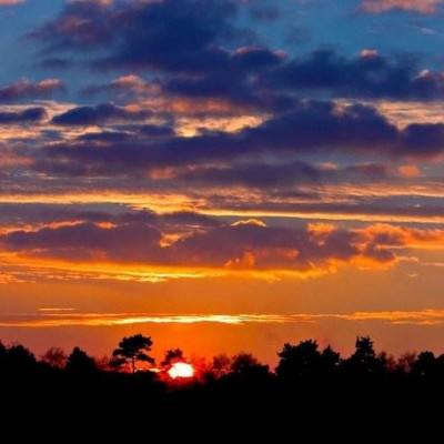 b体育必一官方下载入口