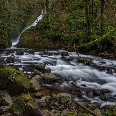 b体育官方app下载下载手机版