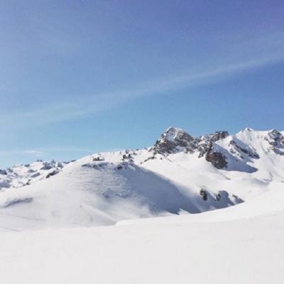 凤凰彩票手机app下载